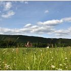 maiengrüner wiesenblick...