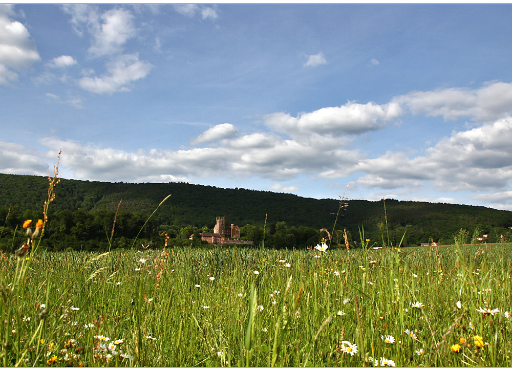 maiengrüner wiesenblick...