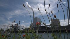 Maiengruß vom Rheinhafen