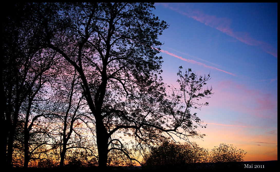 Maienhimmel