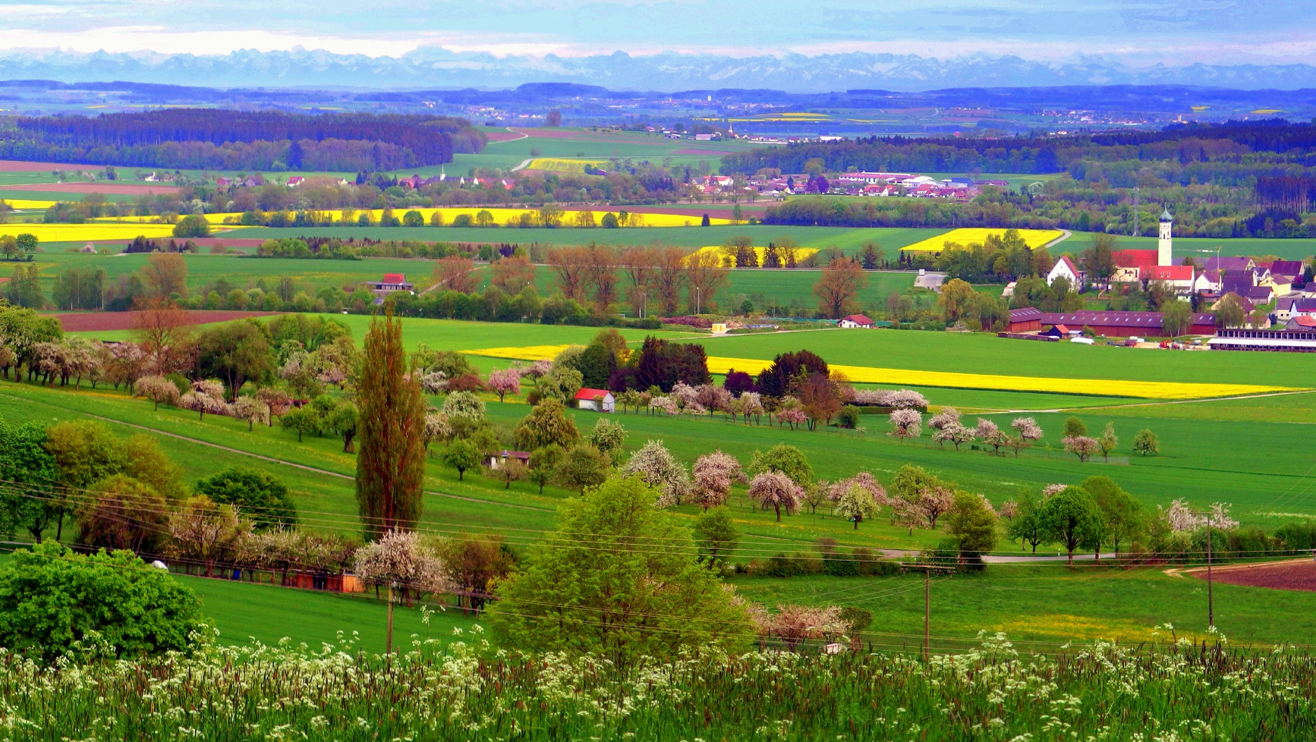 Maifarben und Bergsicht