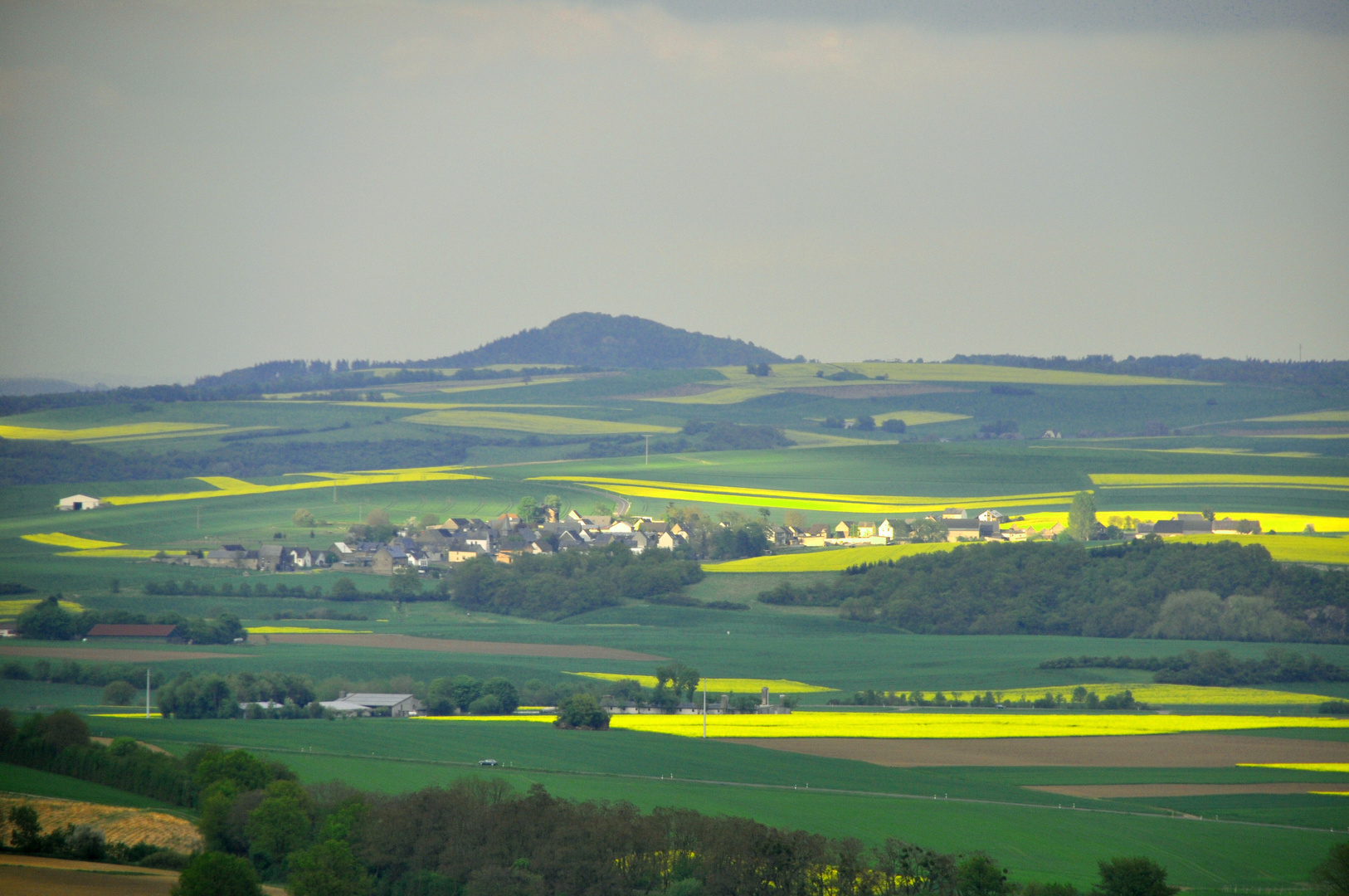 Maifeld im Frühling