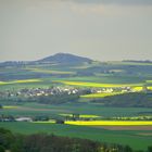 Maifeld im Frühling