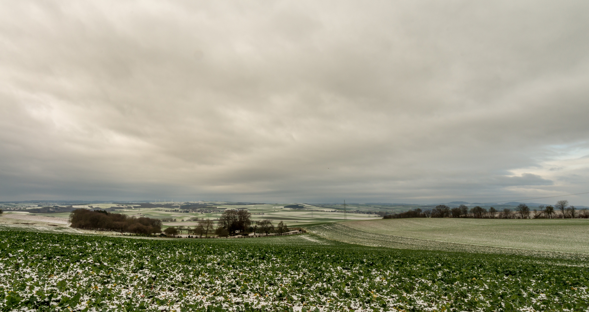 Maifeld in grün-weiss