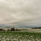 Maifeld in grün-weiss