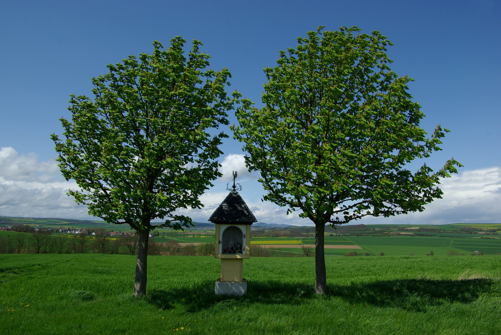 Maifeldlandschaft (Vordereifel)