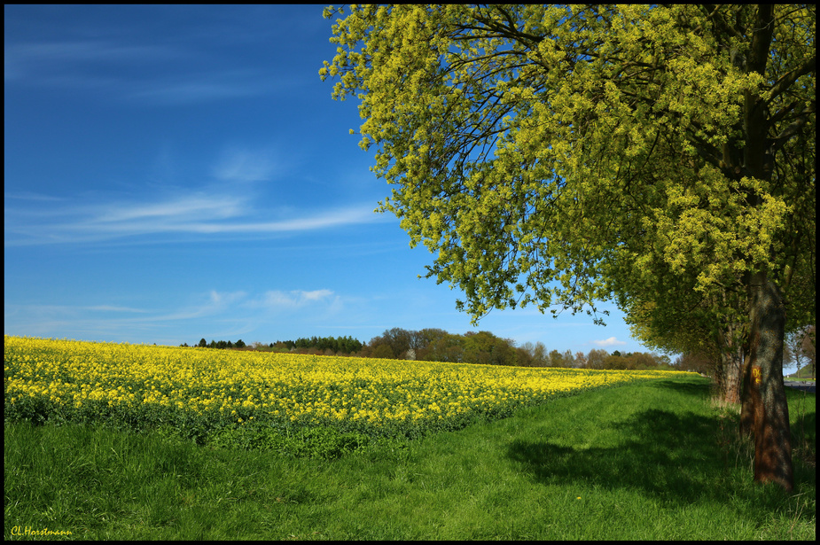 ...Maifoto im April...