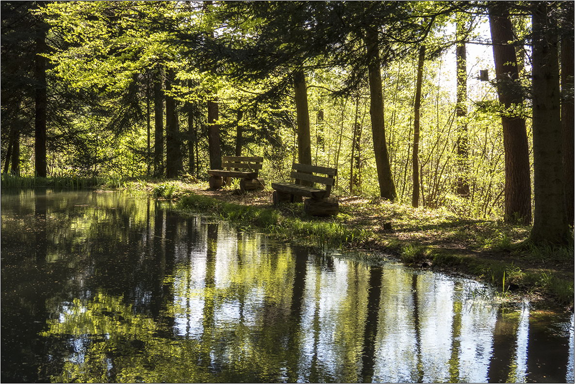 Maigrün am Mattenweiher