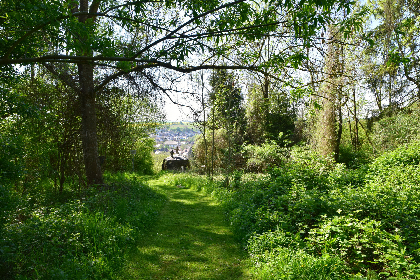 Maigrüner Waldweg