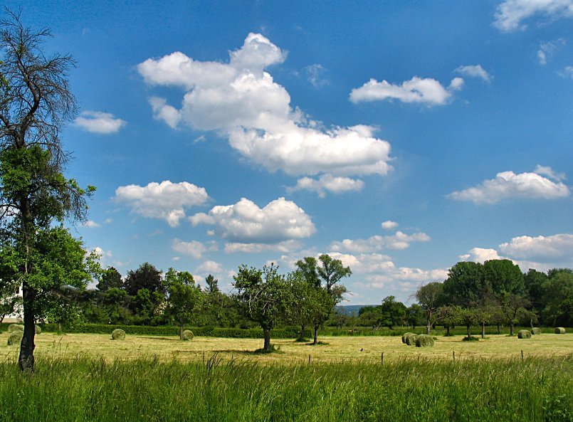 Maihimmel und schon die erste gemähte Wiese