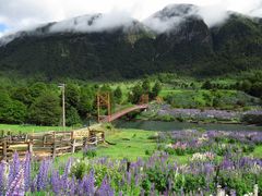 Mañihuales