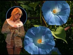 Maike & Blaue Blume