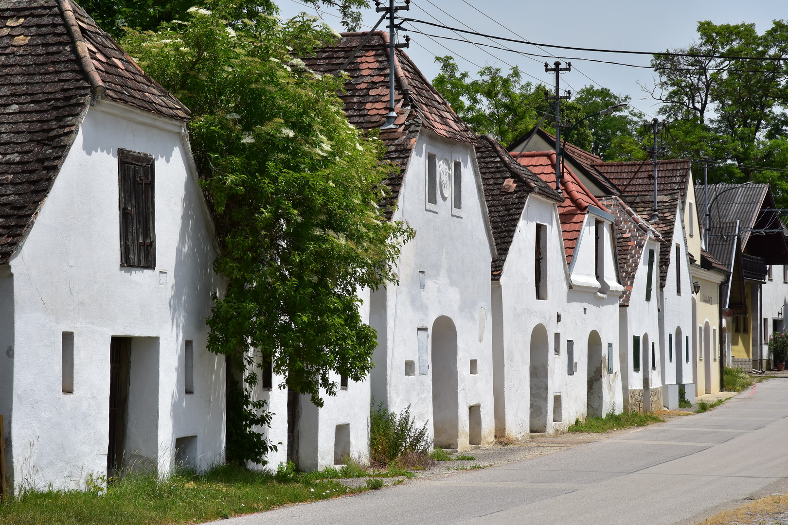 Mailberg, Juni