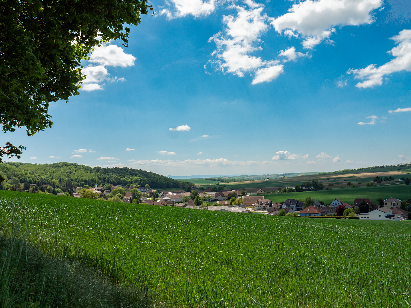 maimittag im weinviertel...