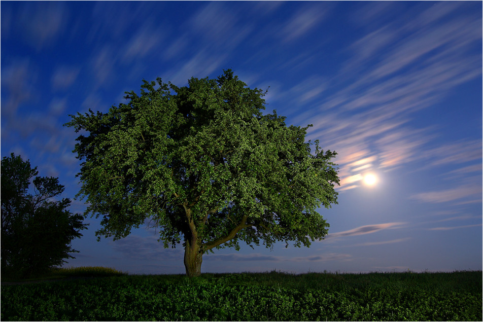 Maimond zur Blauen Stunde