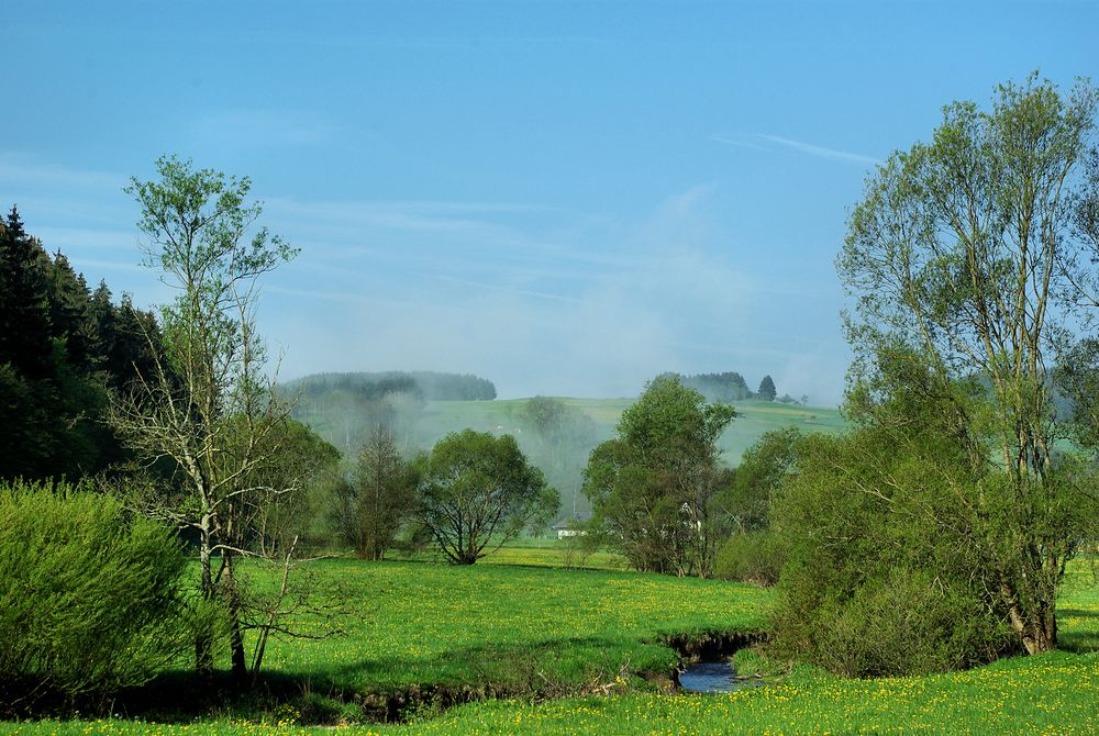 Maimorgen