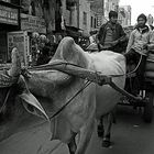 Main Bazaar Road in Paharganj, New Delhi.