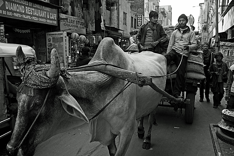 Main Bazaar Road in Paharganj, New Delhi.