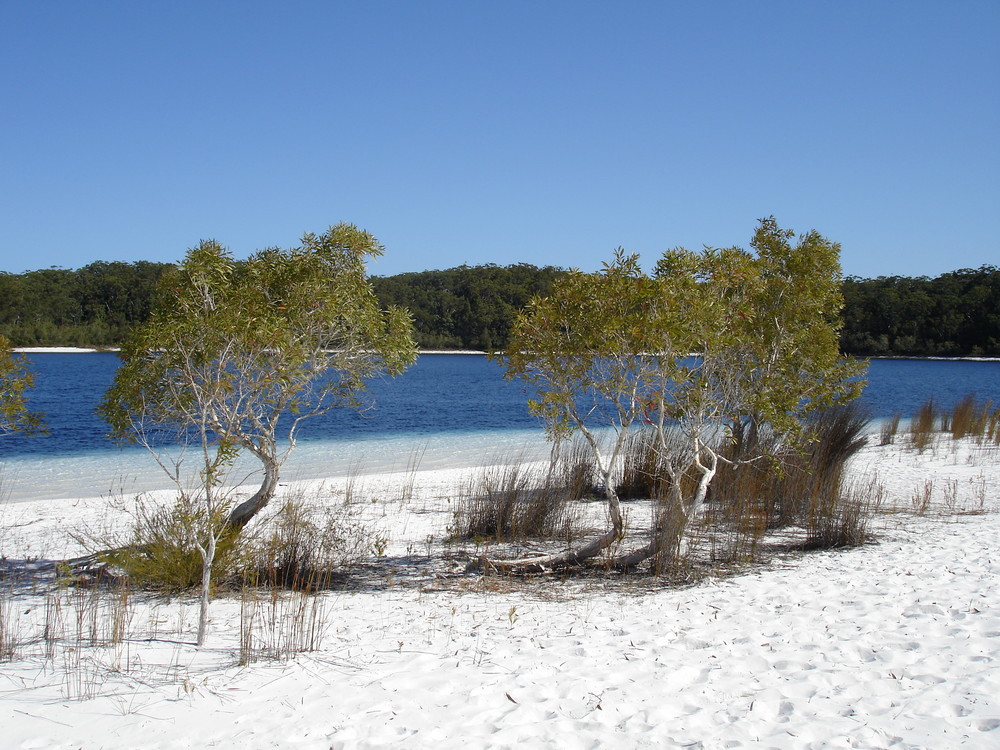 Main Beach