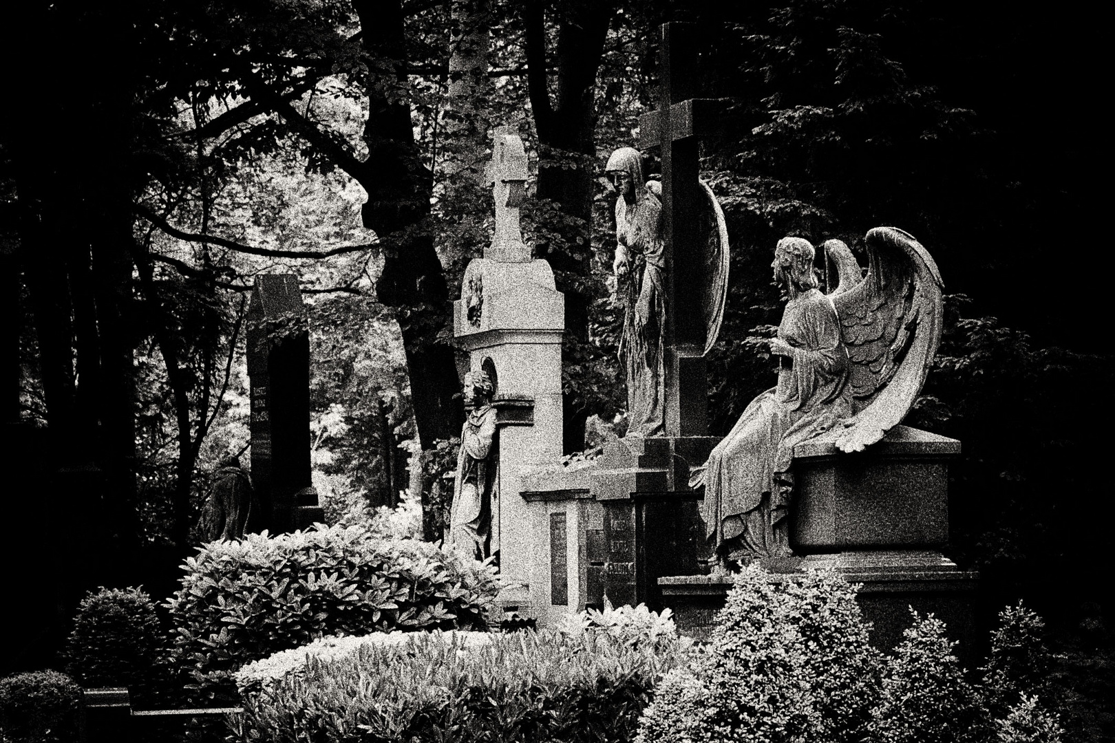 Main Cemetery Cologne III