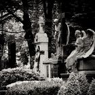 Main Cemetery Cologne III