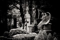 Main Cemetery Cologne III