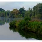 Main-Flusslandschaft