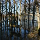 Main Hochwasser