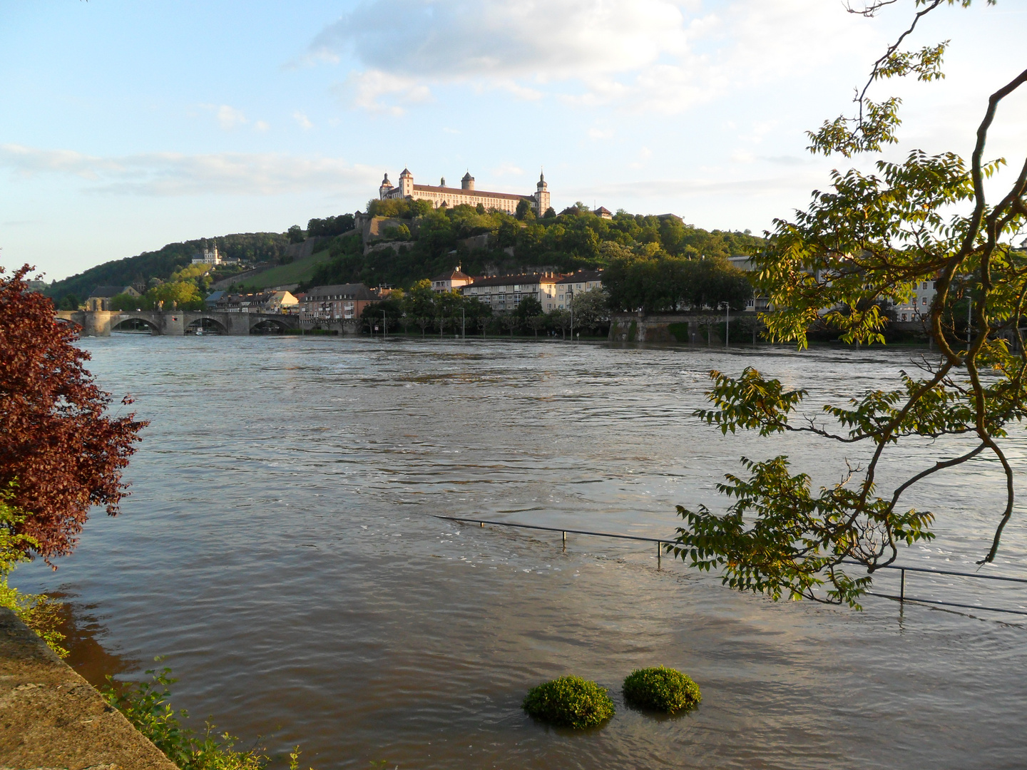 Main Hochwasser im Juni