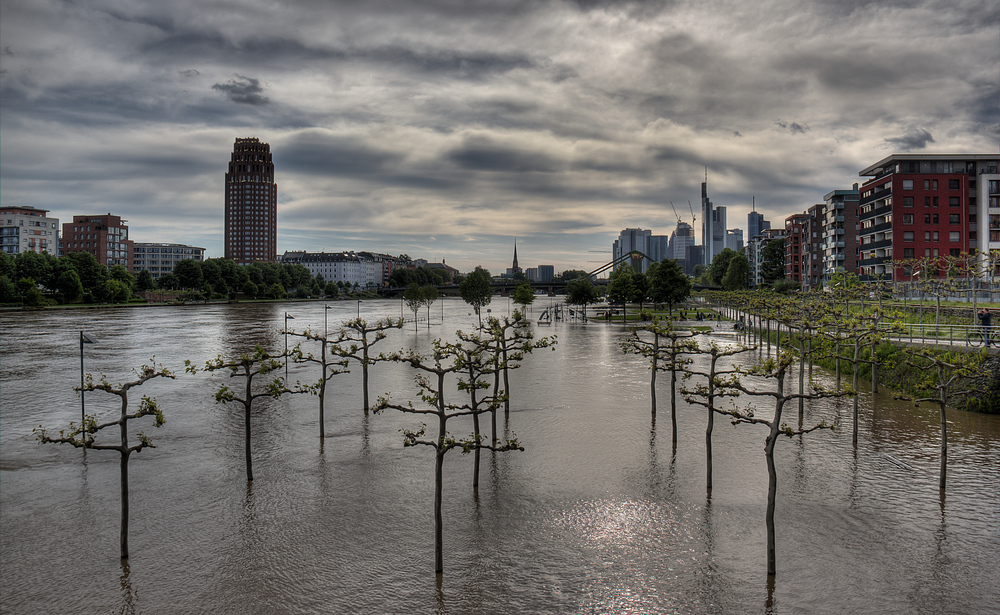 Main-Hochwasser in Frankfurt am 02.06.2013