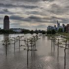 Main-Hochwasser in Frankfurt am 02.06.2013