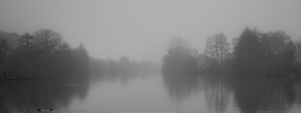 Main im Nebel