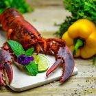 main Lobster (Hummer)