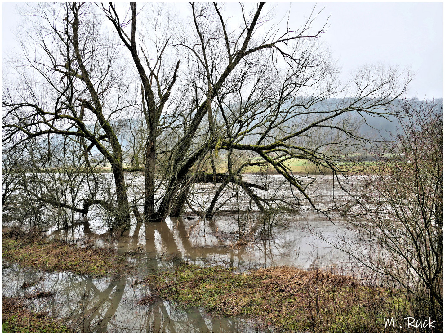 Main mit Hochwasser ,