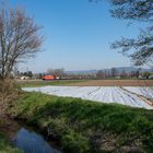 Main-Neckar-Eisenbahn I