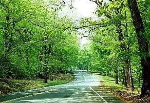 Main road aboard Quantico Marine Corps Base Virginia