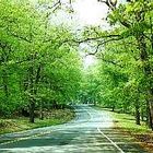 Main road aboard Quantico Marine Corps Base Virginia