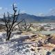 Main Terrace, Mammoth Hot Springs, Yellowstone National Park, Wy, USA