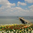 [Mainau 1] *Ein Schiff wird kommen ...*