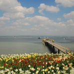 [Mainau 1] *Ein Schiff wird kommen ...*