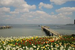 [Mainau 1] *Ein Schiff wird kommen ...*