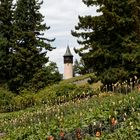 Mainau 