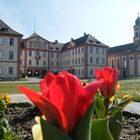 Mainau