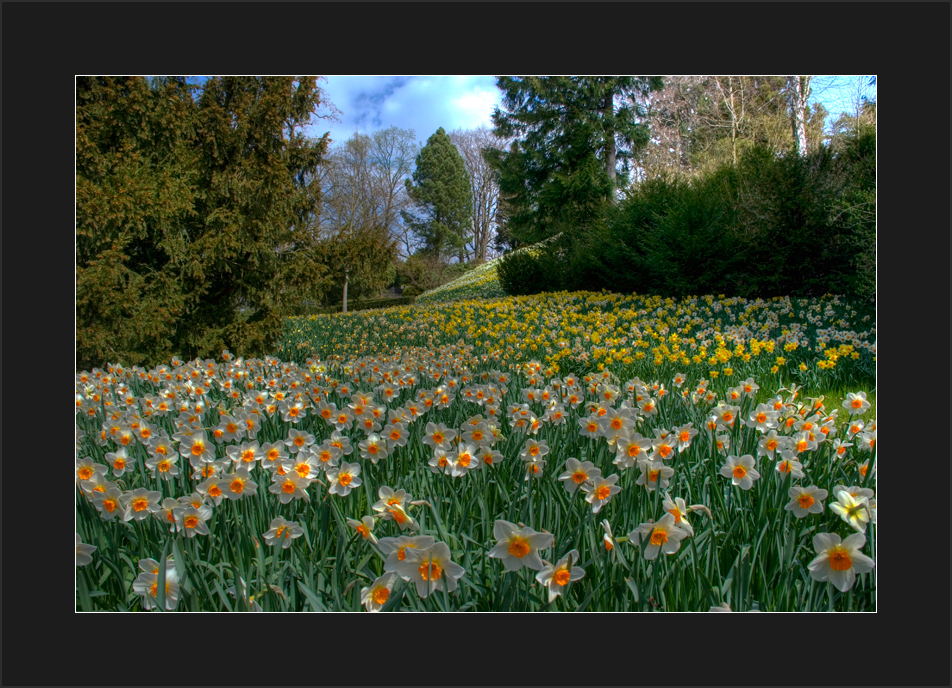 Mainau