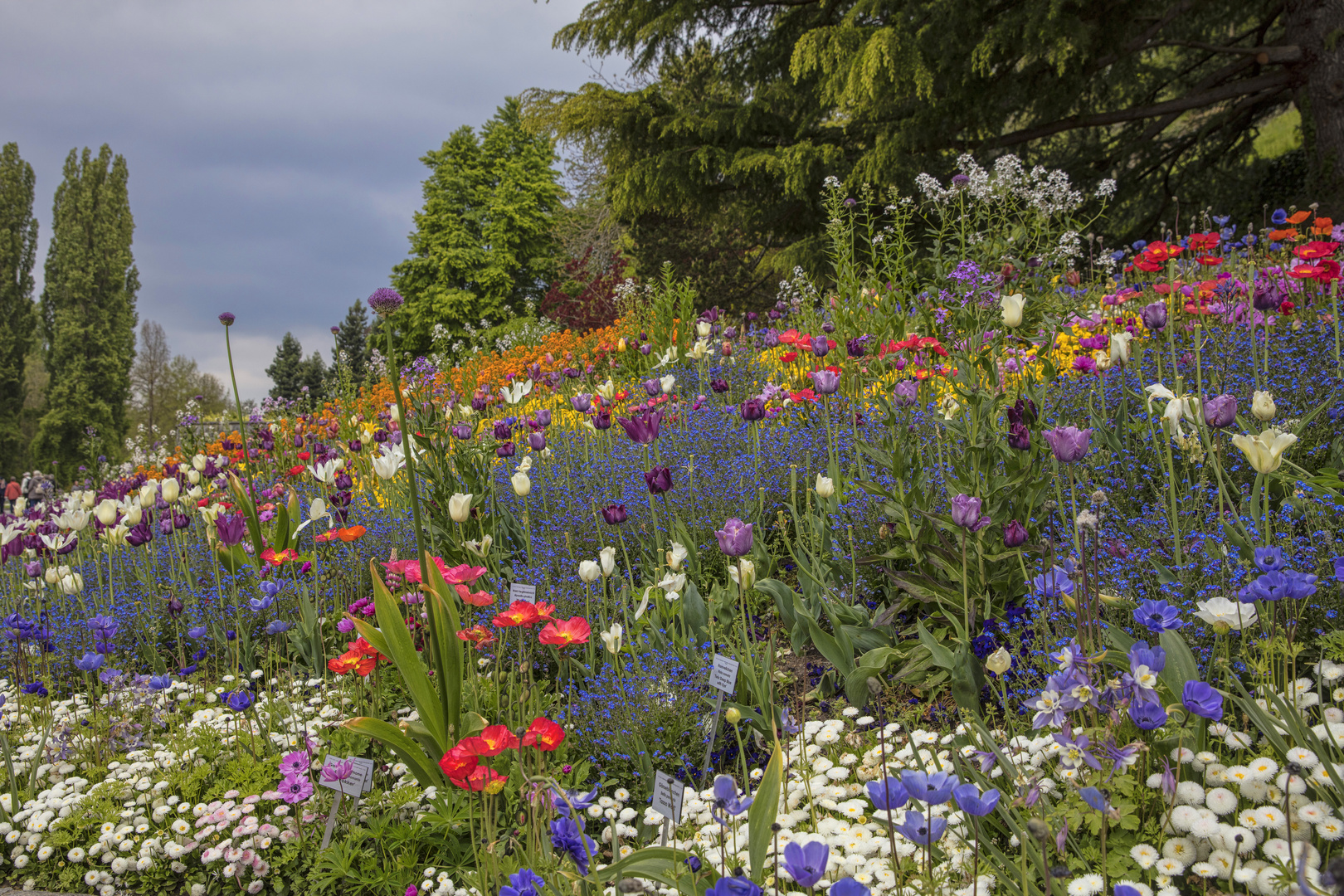 Mainau