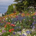 Mainau