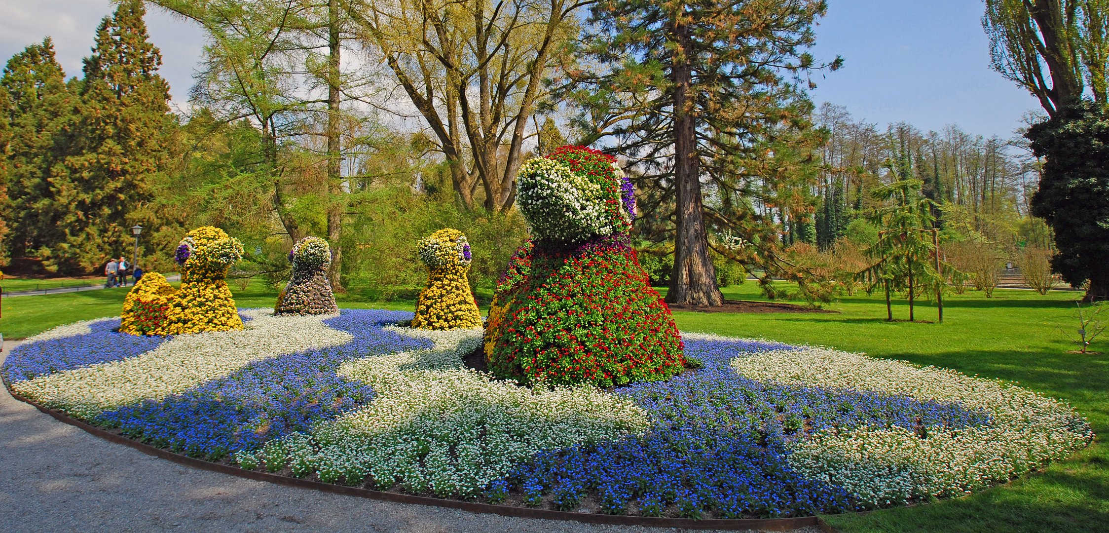 [Mainau 4] *Enten im Blumenmeer*