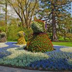 [Mainau 4] *Enten im Blumenmeer*