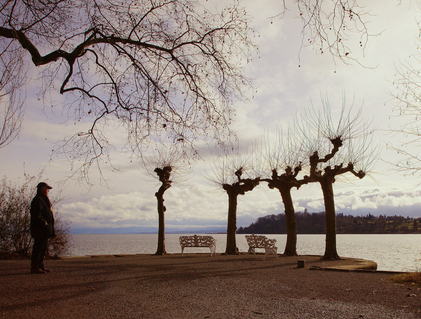 Mainau