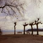 Mainau